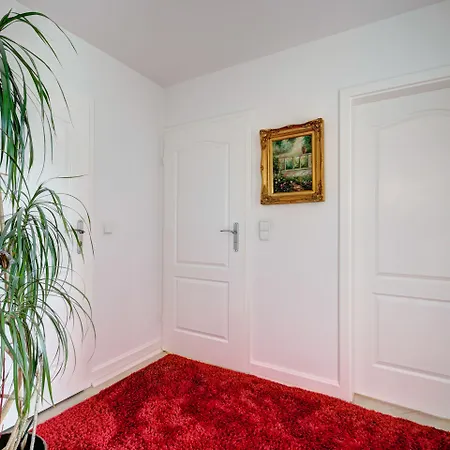 Dom & House - Ogrodowa